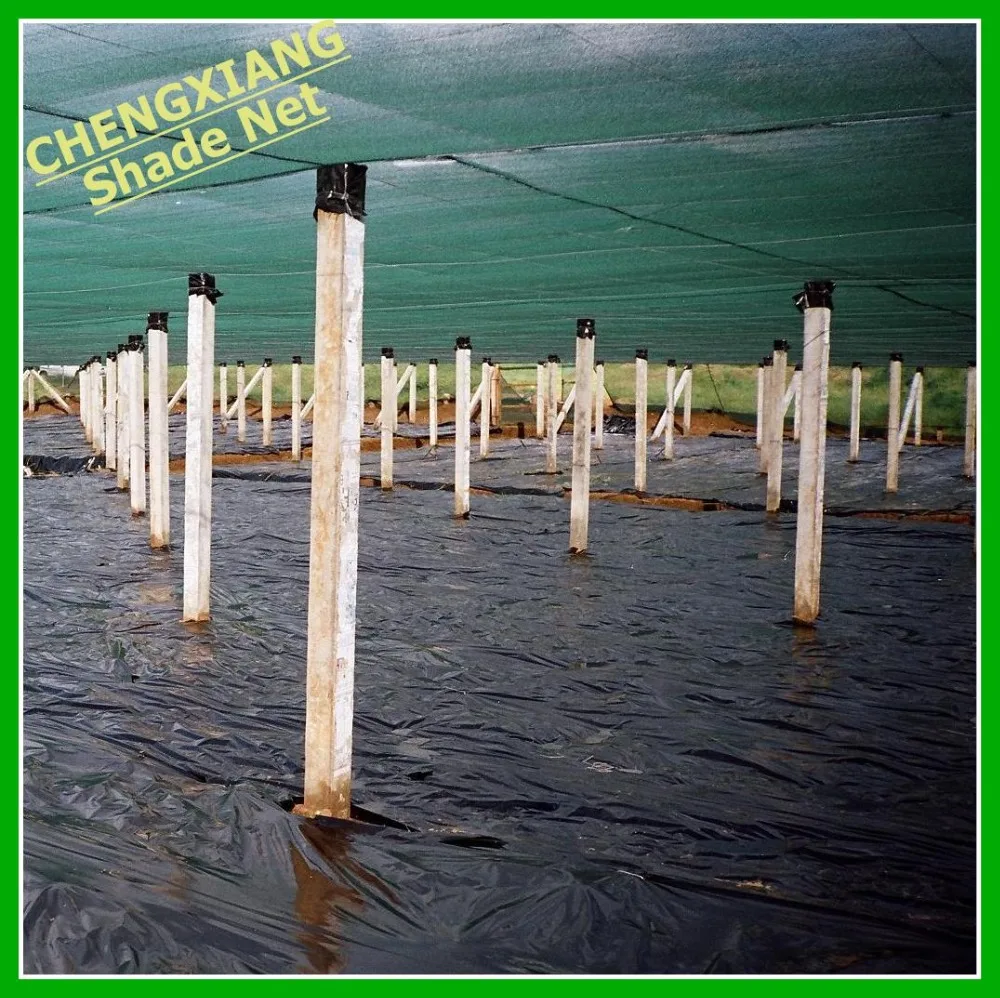 
Green Color Agriculture Sun Shade Net 