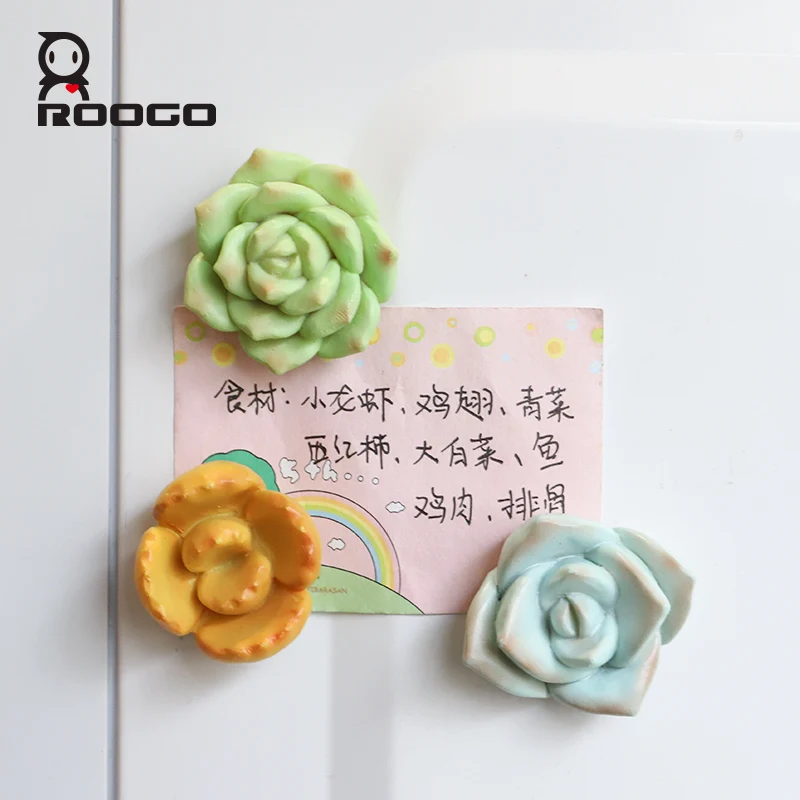 Roogo Resin Succulents Plant Flowers Fridge Magnet 3D Sticker