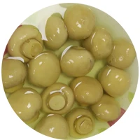 
Canned Champignon Whole Mushroom in Brine 425g 