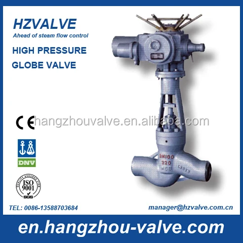 High pressure steam motorized globe valve