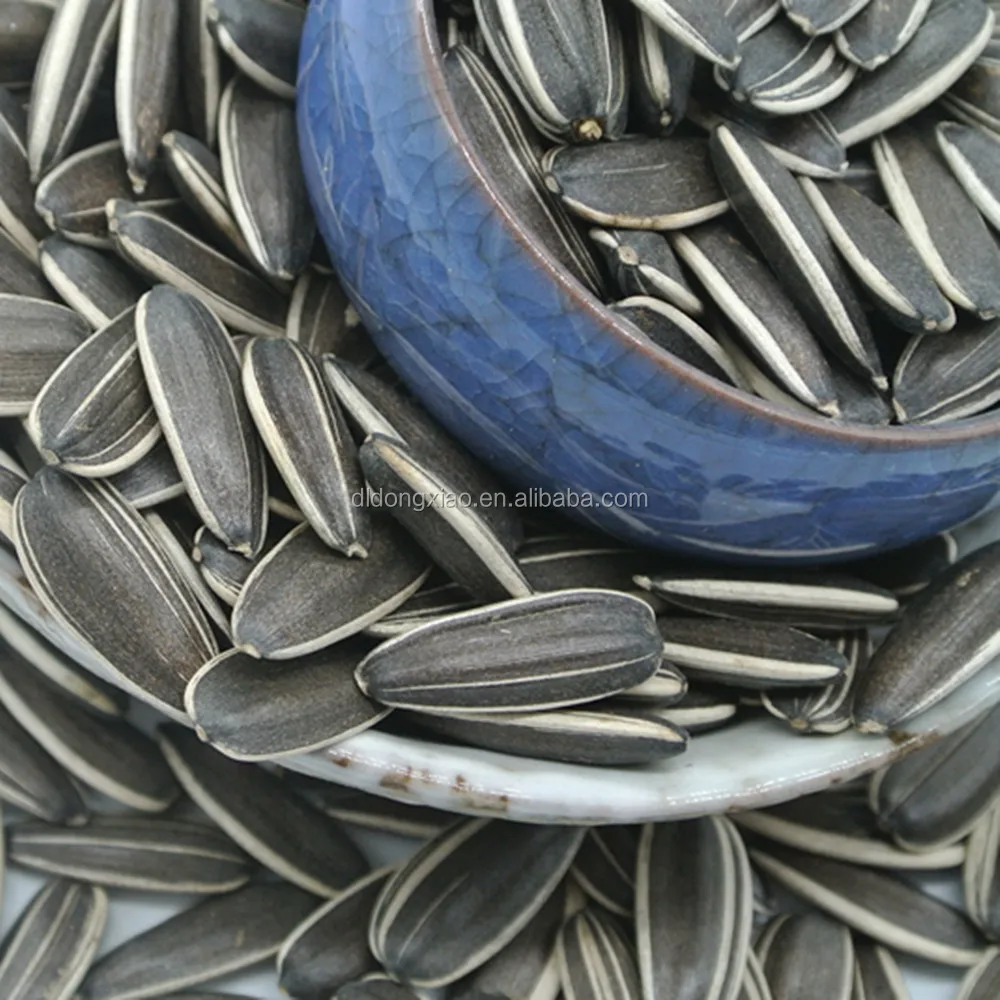 agricultural crops of egypt oil sunflower seed ton price sunflower seeds