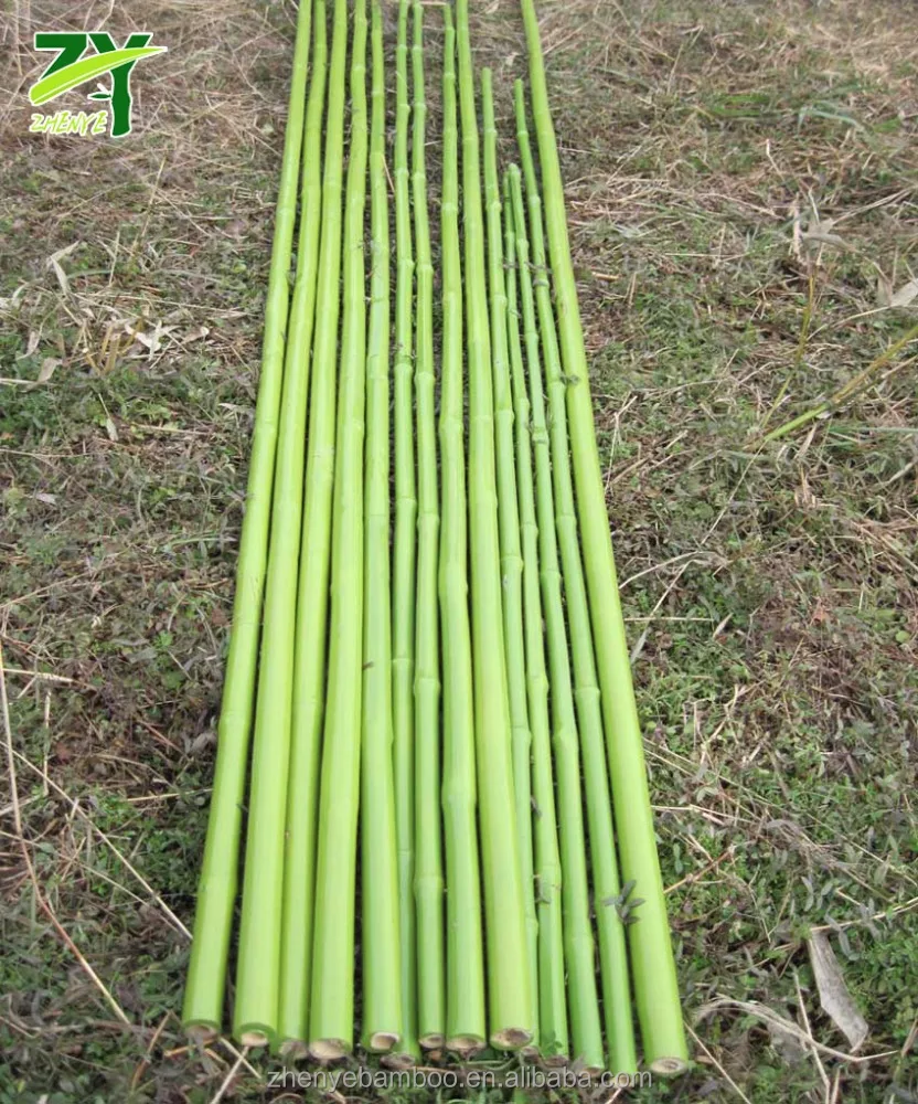 Новинка! ZY-1023 бамбуковые палочки в пластмассовым покрытием бамбуковых палок с пластиковой трубки крышка пвх пальто из бамбука