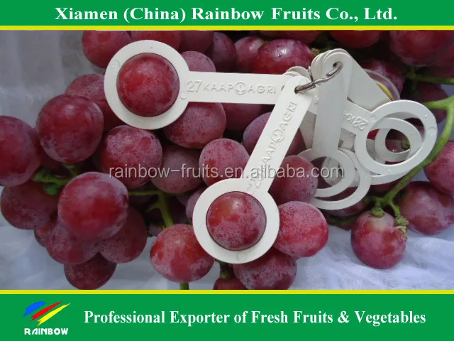 
fresh Red Sweet seeded grape fruit export from China 