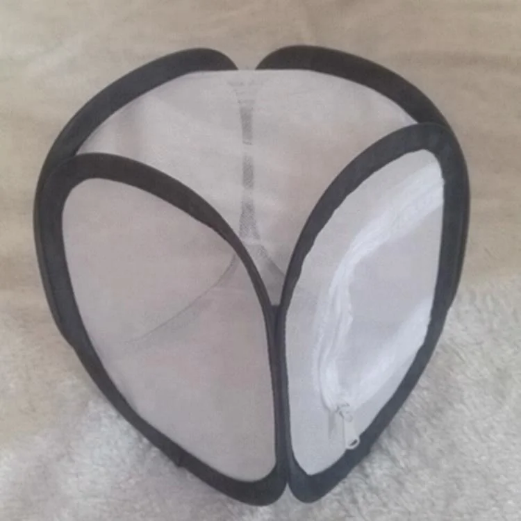 Мини-размер всплывающая клетка для рептилий Террариум обитания бабочек идеально подходит выращивания