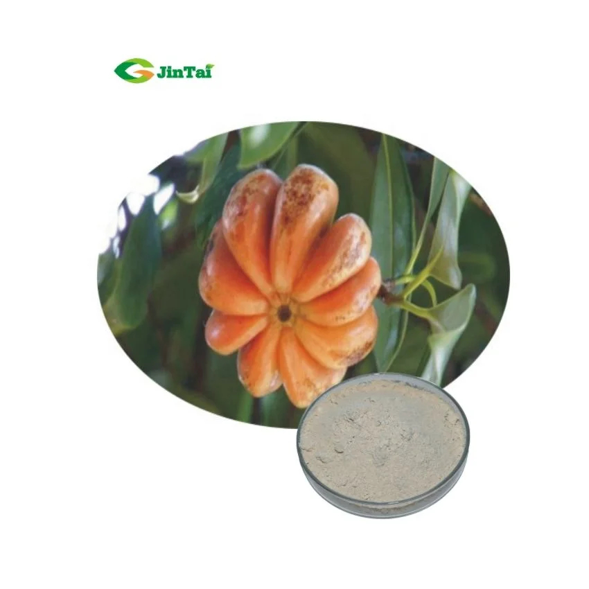 
natural herbs food grade herbal garcinia combogia extract hca 50% 60% hydroxycitric acid powder for weight loss 