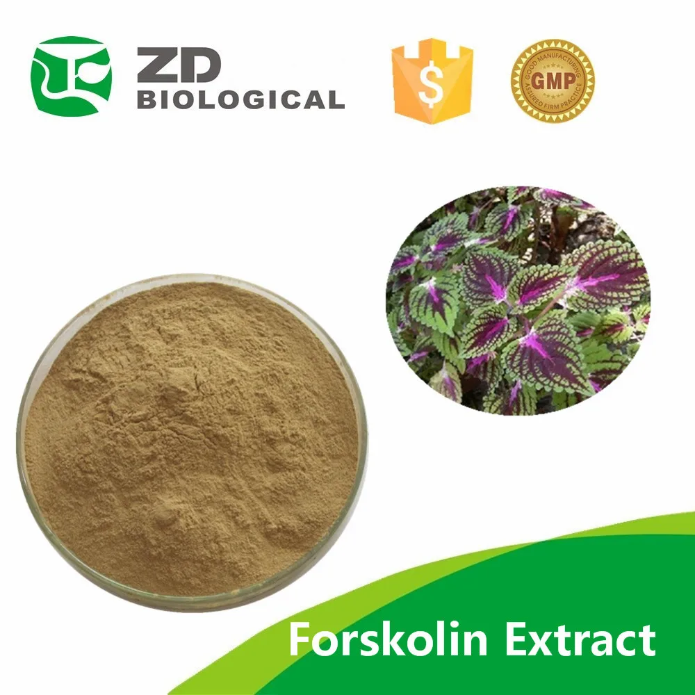 Колеус форсколин извлечь форсколин производитель