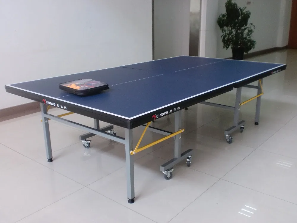 Indoor Table Tennis Tables