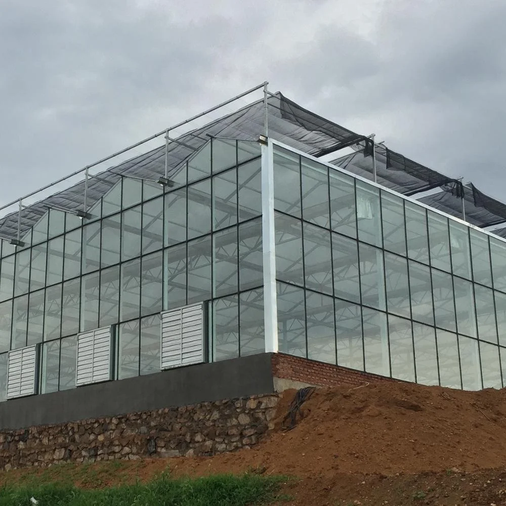 Hot-selling agricultural greenhouses Small greenhouses hydroponic greenhouse systemsare for sale