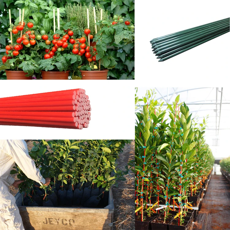 
Fiberglass Garden Stakes Tomato Stakes Plant Training Stakes 