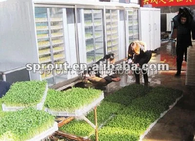 Hydroponic Fodder machine/seedling machine/wheat sprout machine