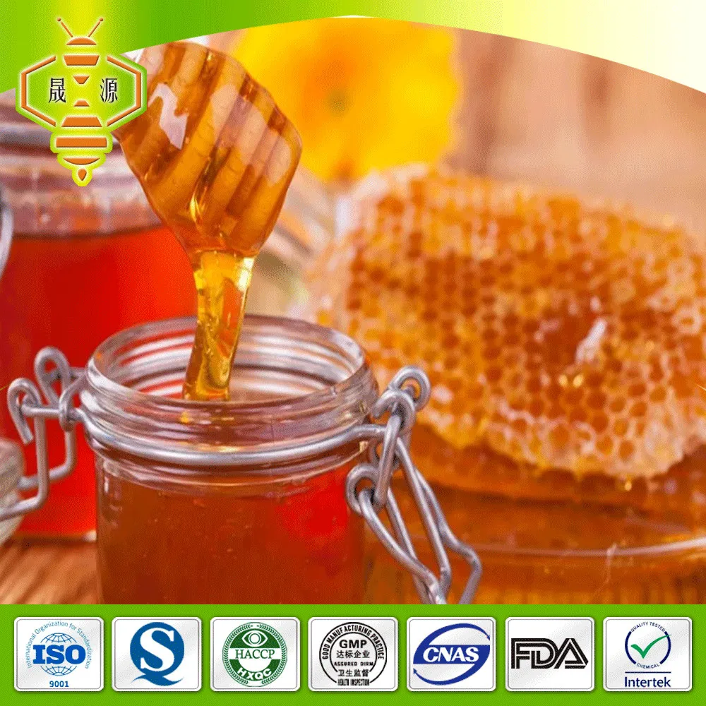 Organic Pure Bee Comb Honey Chinese Natural with 2 Years Bee Honey Shelf Life Grade 1 Bee Honey Grade Bottle Packaging 76 Brix