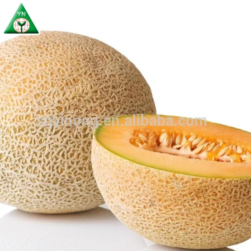 Orange flesh strong growth anti wilt disease hybrid musk melon seeds
