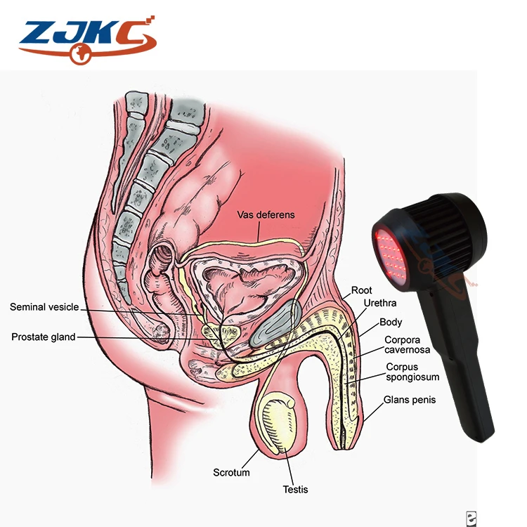 
Portable Medical Equipment High Power Super Pulsed MLS LLLT Soft Cold Bio Laser Therapy Red Light Ed Cures For Lower Back Pain 