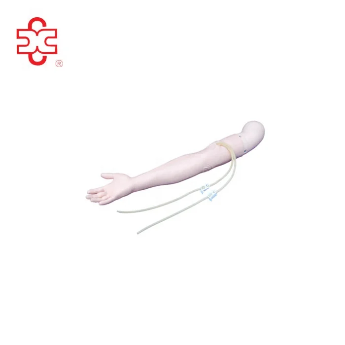 Медицинское обучение IV тренировочная модель arm