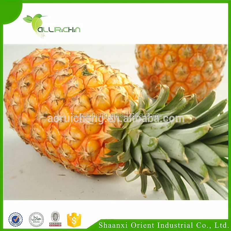 Factory Manufacture Premium Bulk Bromelain Powder, Protease Enzyme