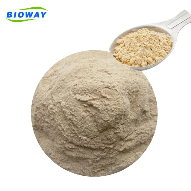 
EU NOP Certified food grade natural Sports Nutrition organic brown rice protein powder 