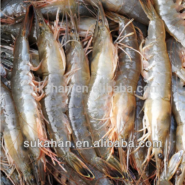 
water probiotics for fish farming 