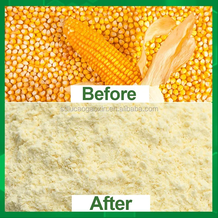 10TPD fully automatic production line/maize grinding mill/corn flour mill machine