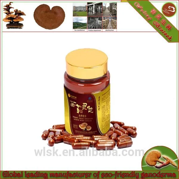 Ganoderma экстракт рейши спор порошок таблетки