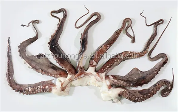 Illex/Gigas Giant /Pacific Squid frozen squid tentacles on sale