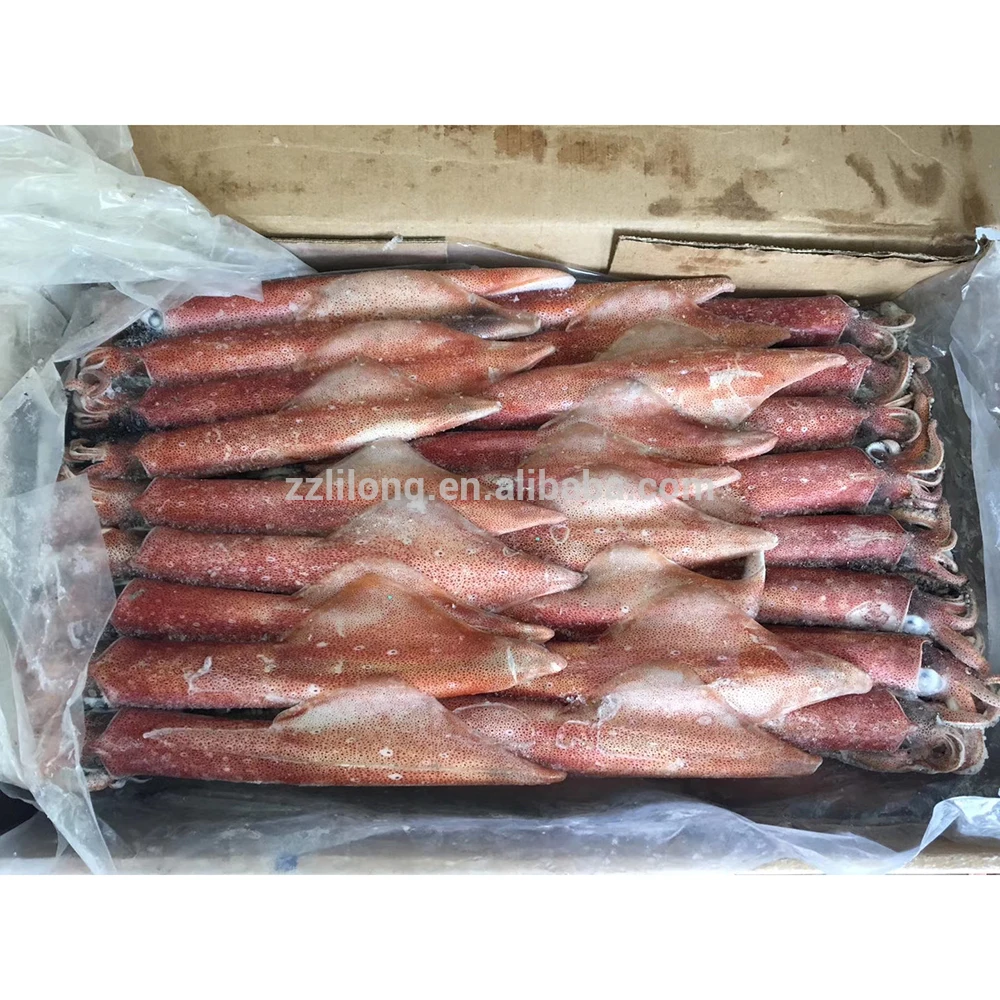 Frozen loligo squid whole and tentacle tube