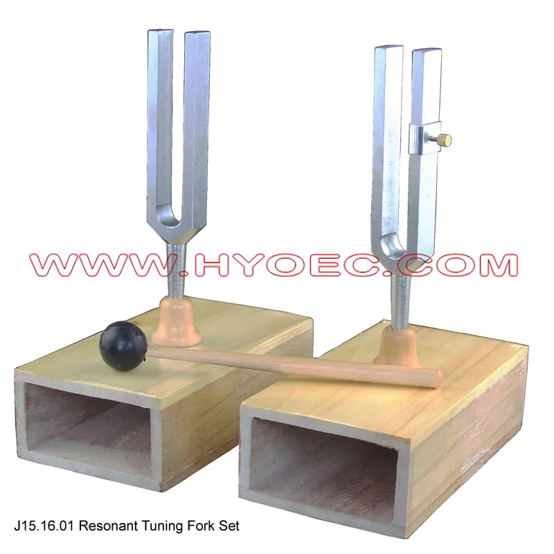 Resonant Tuning Fork Set for Physics Experiment