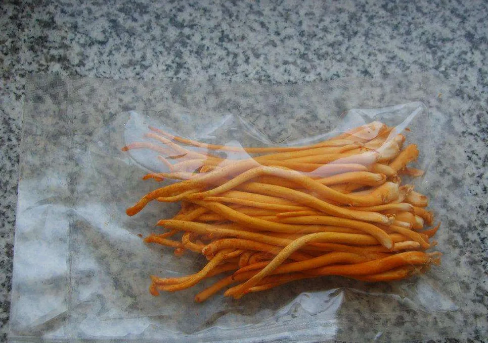 
Detan Cordyceps Militaris Fresh Mushroom 