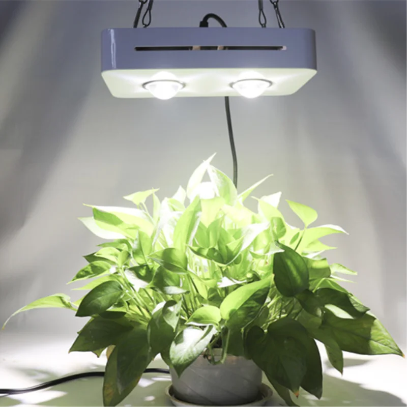 Wholesale High Lumens Full spectrum led 500W PINK & White 4000K Cob LED Grow Light For Indoor Plants LED Grow Light