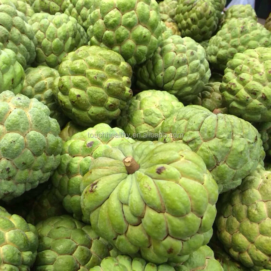 Семена анноны сквамоса, семена cherimoya