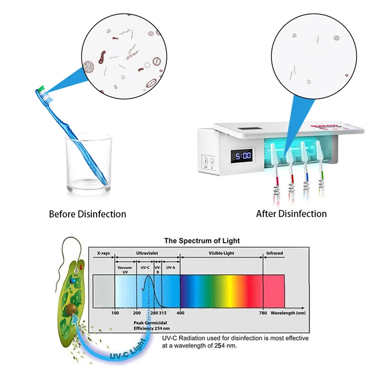 
UVC Toothbrush Sterilizer Amazone Hot-Sell Portable Holder Single Head Toothbrush Sanitizer with UVC Light 
