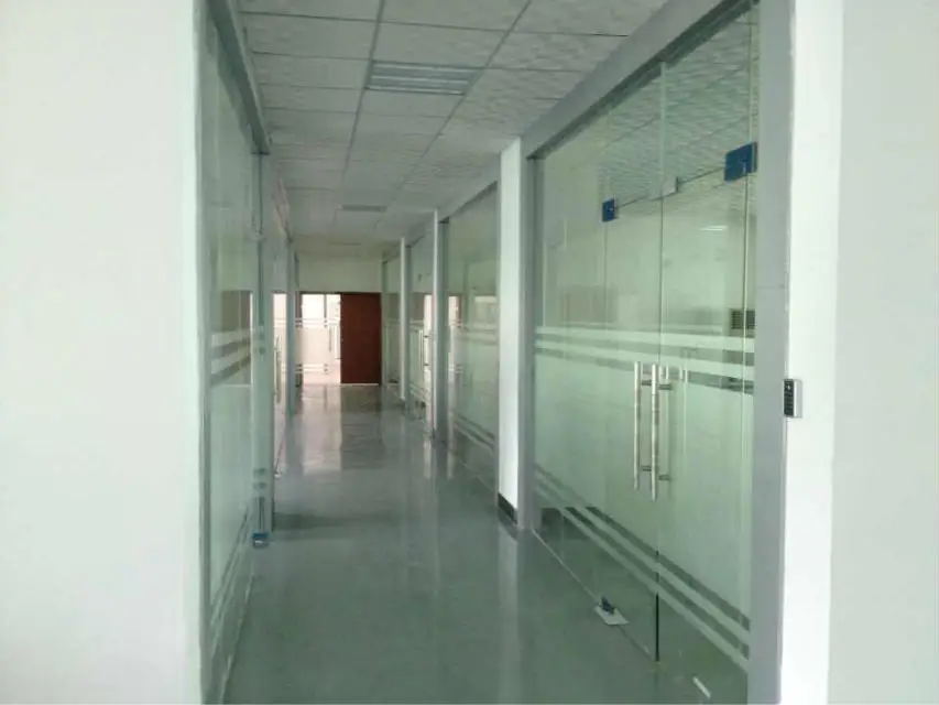 High Quality Dental Needle  Dental Irrigation Needle