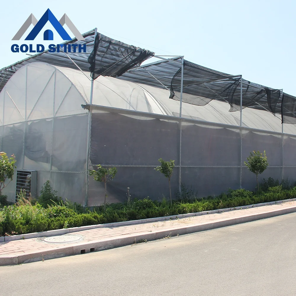 Commercial Multi-span Film Tunnel Agriculture Greenhouse with Hydroponic System