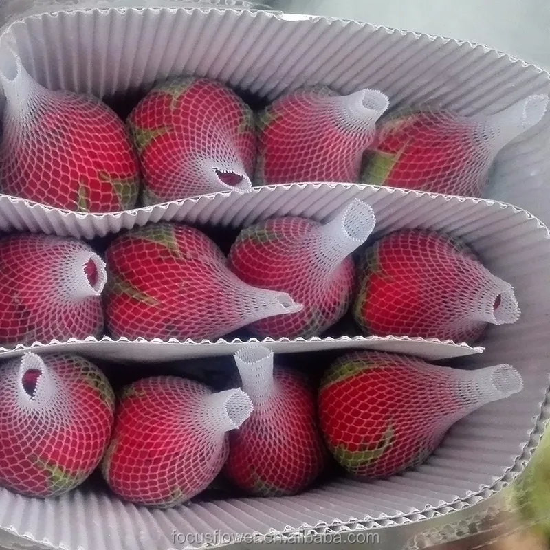 С конкурентоспособной ценой, бесплатная доставка, натуральные свежие резные цветы, резные розы Carola