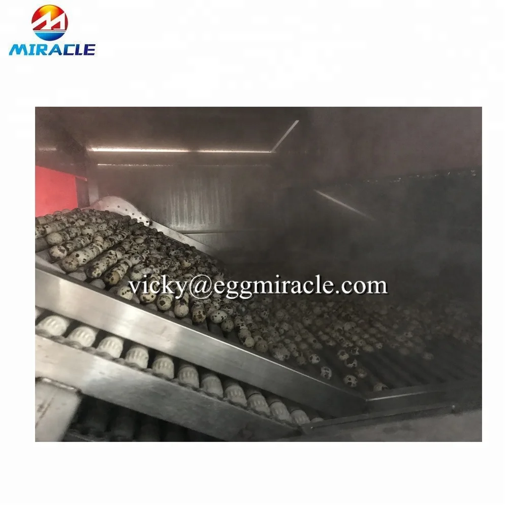 Manufacturer supply low price quail eggs cooking equipment/quail eggs peeling production line