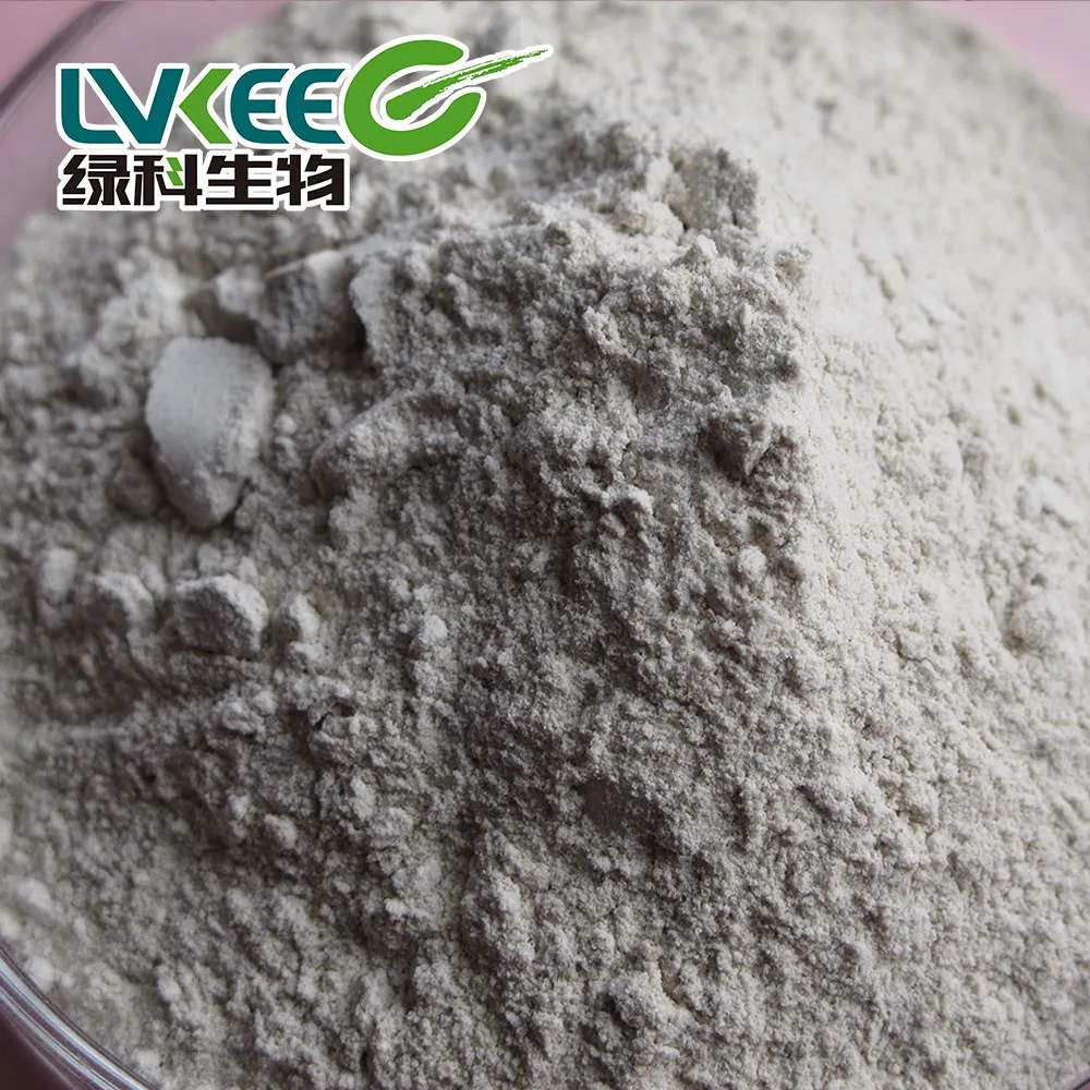 High quality 20 bilion cfu/gBacillus Cereus for freshwater aquaculture