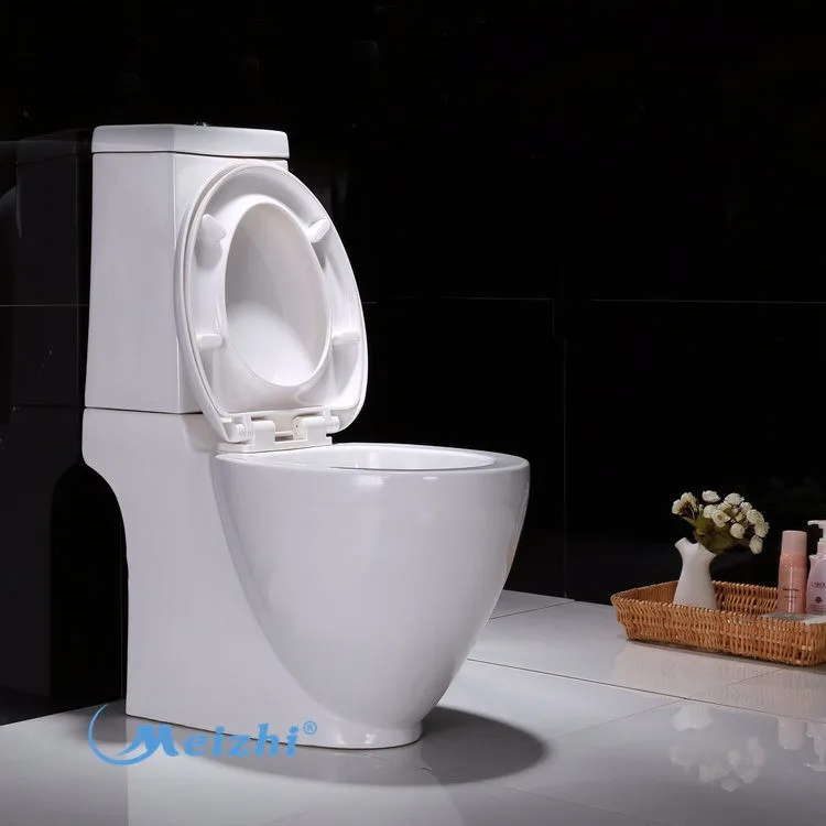 Water saving bathroom composting toilet