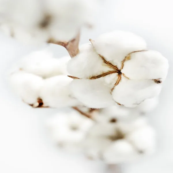 2015 hot sale functional temperature control attemperation cotton fiber