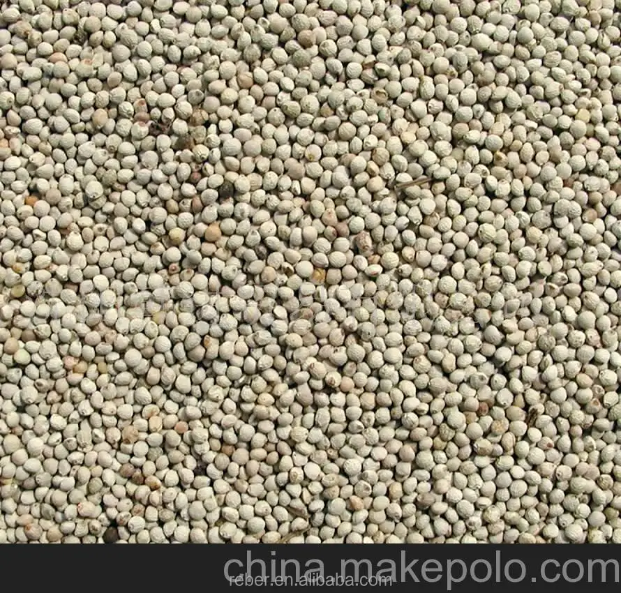 
High quality perilla seeds for oil seeds for bird 