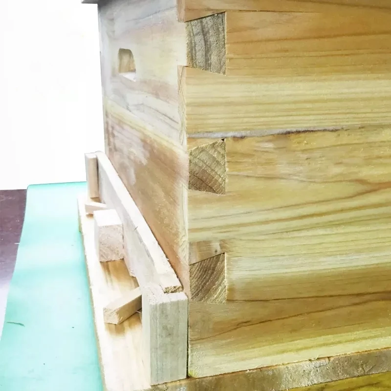 
Ten framed Cunninghamia Cunninghamia Cunninghamia beehives 
