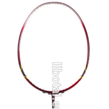 Sports good badminton