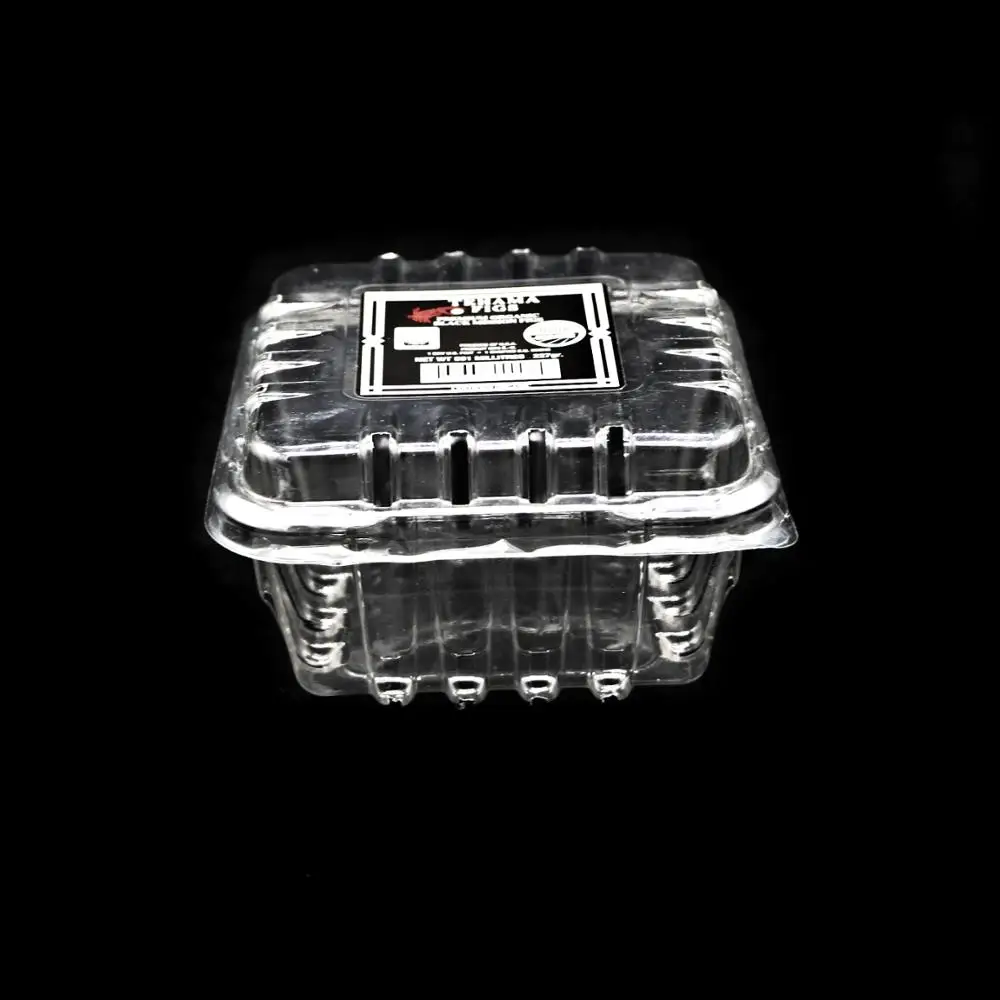 Контейнер-раскладушка для фруктов с томатом-вишней и клубникой