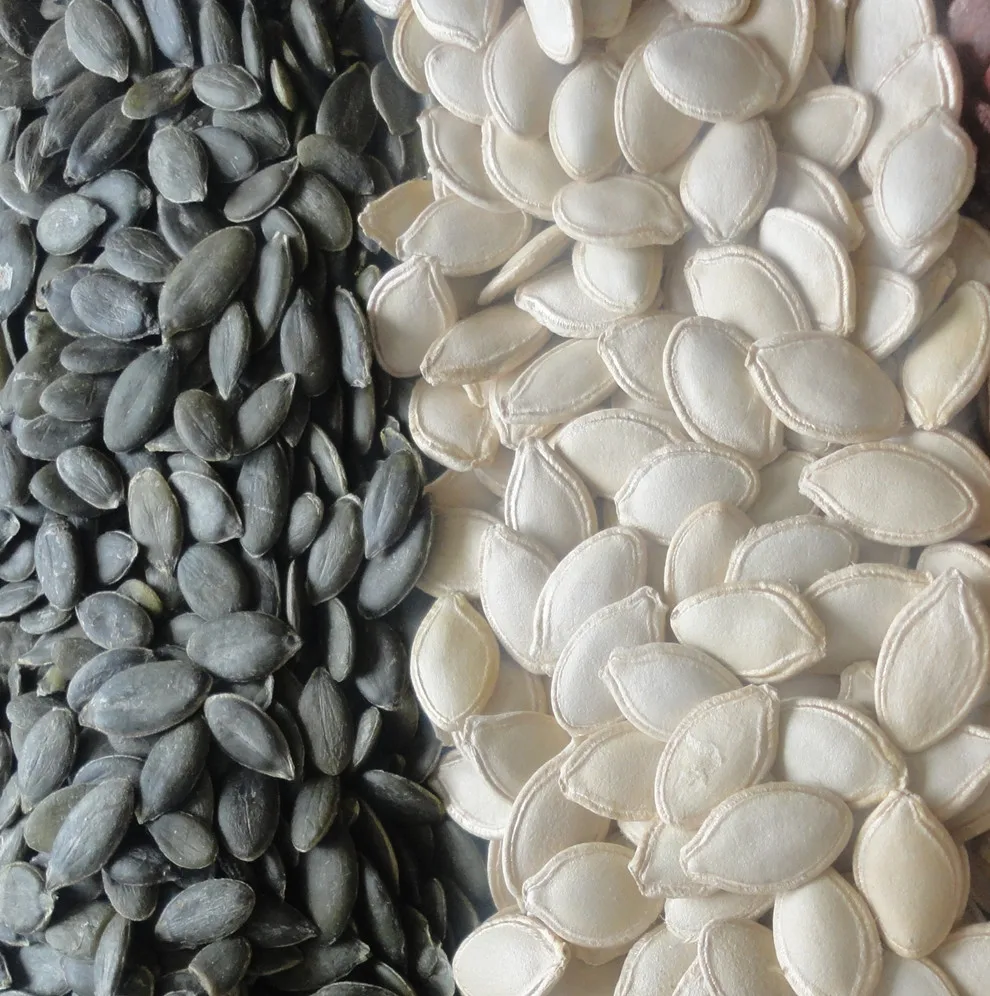 greer pumpkin seeds without shell and pumpkin seeds oil