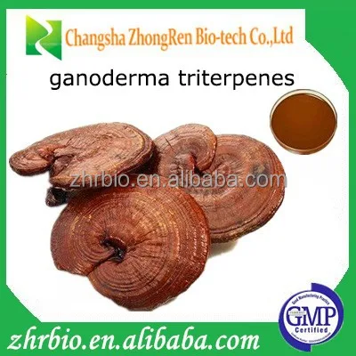 Top quality Ganoderma lucidum extract Reishi Mushroom Extract in stock