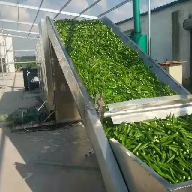 Belt Conveyor Mesh Belt Dryer