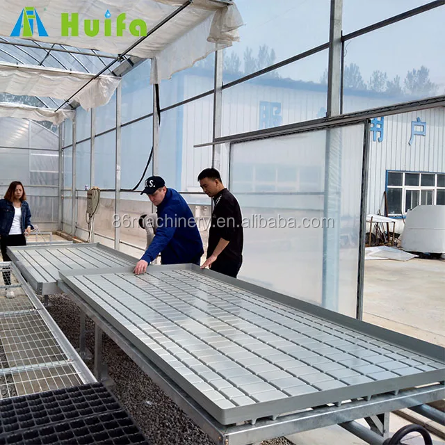 Flood-and-Drain Hydroponic System used greenhouse equipment for sale