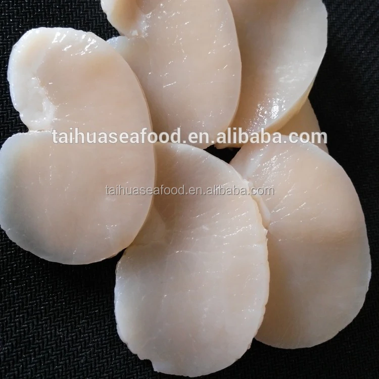 Frozen seafood sea scallop new prodcued for sale