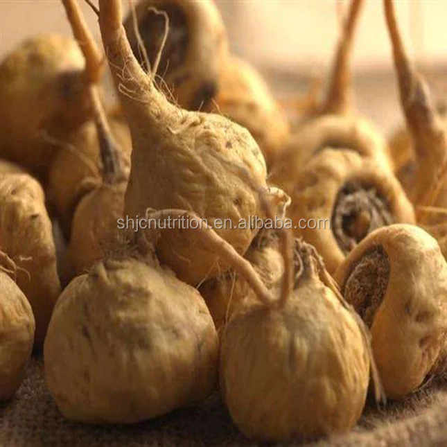 Welcome inquiry high quality 100% natural Maca Extract,Maca Powder, Maca root powder