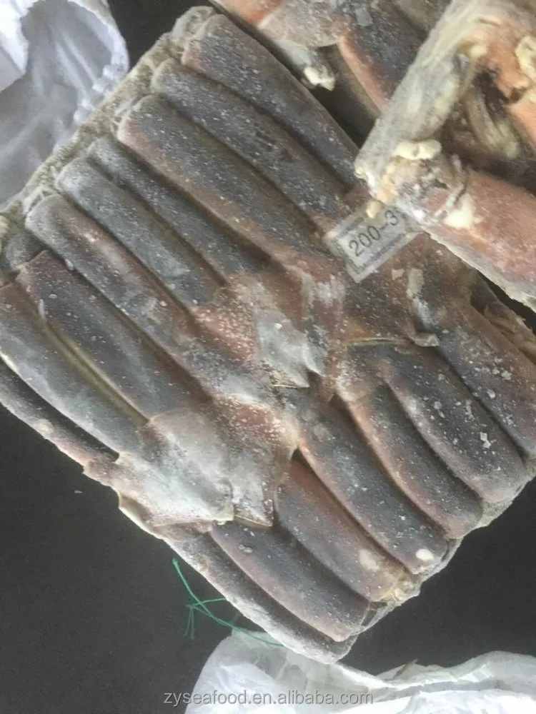 200-300G Frozen Argentina Squid