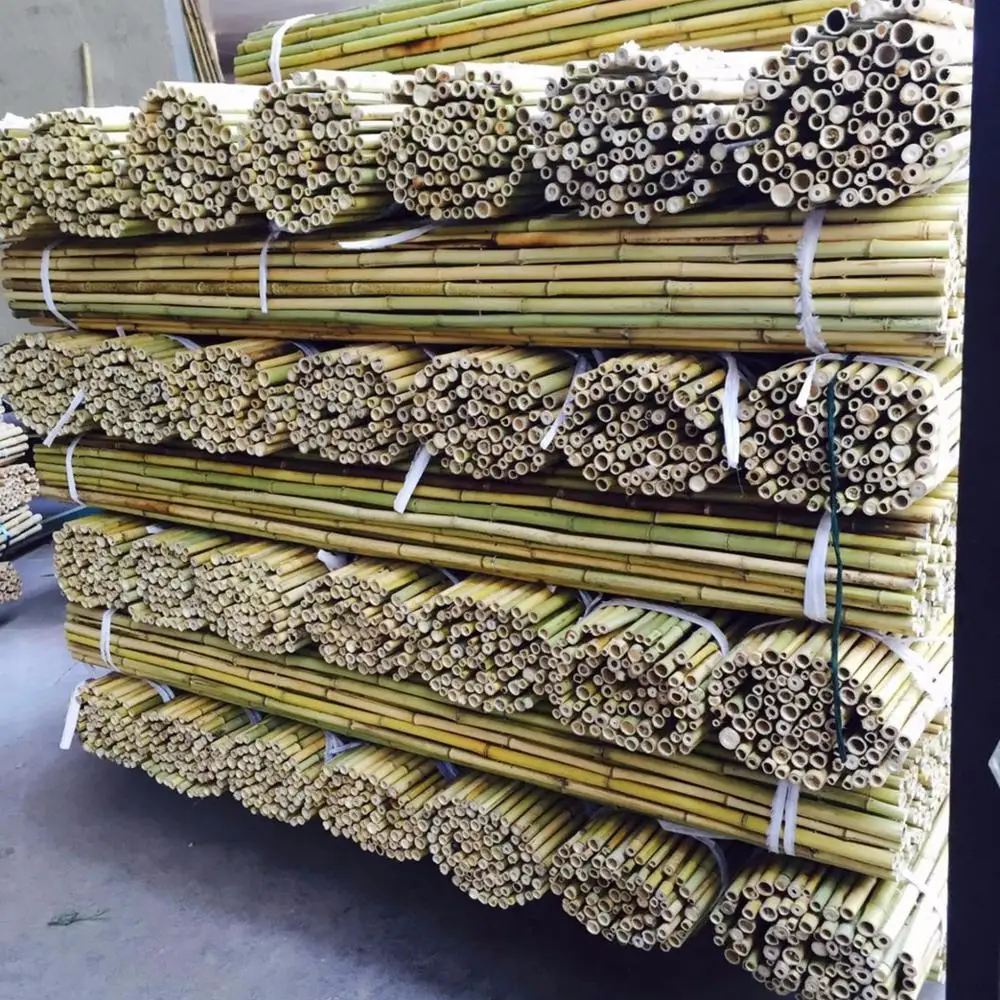 china wholesale lowest price straight and high quality bamboo poles