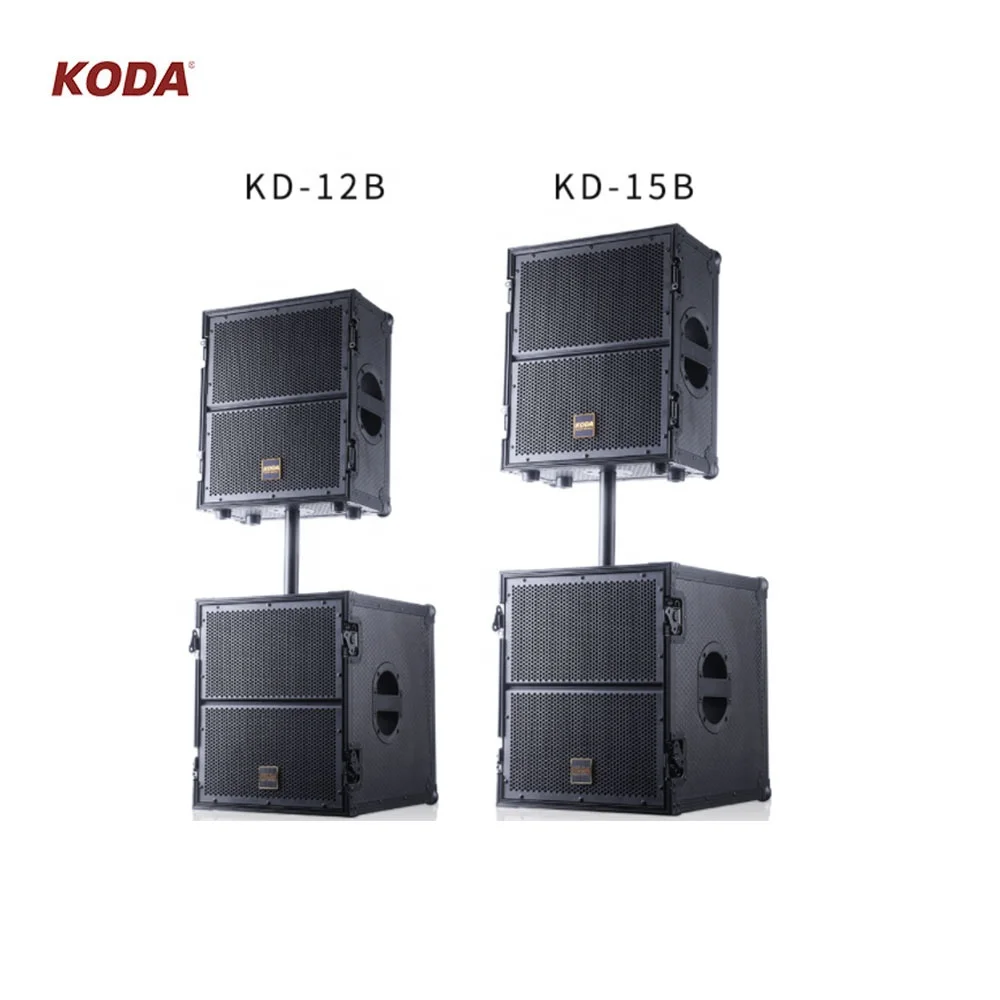 professional amplifier concert stage speaker with wireless microphone